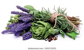 Herbes de Provence