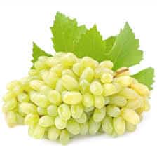 Condimento Bianco White Balsamic